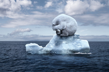 polar bear sits on a melting glacier