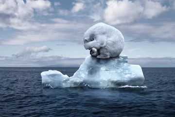 Fotobehang polar bear sits on a melting glacier © karmaknight