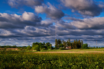 Obraz premium green field and blue sky