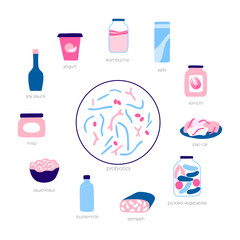 Vector isolated illustration of probiotic food