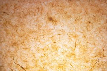 Paper texture (translucent) made by hand with visible organic fibers. In delicate shades, orange and vanilla.