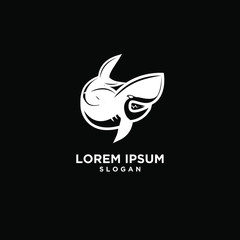 black shark fish predator logo icon design vector illustration