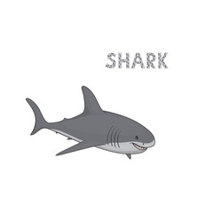 Vector illustration, a cartoon shark, isolated on a white background. Animal alphabet.