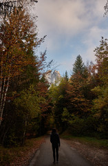 Autumn on a road in Vercors Regional Natural Park. France