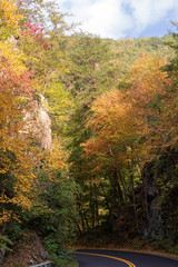 A winding road in the Great Smoky Mountains National Park amongst beautiful autumn coloured trees