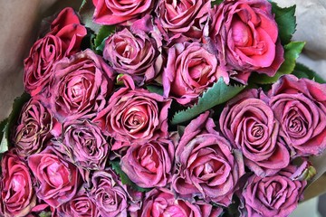 Fading bouquet of red roses in craft paper with selective focus and blurred petals on front. Wilted bunch of flower on blurred background. Dying romantic bouquet of flowers 
