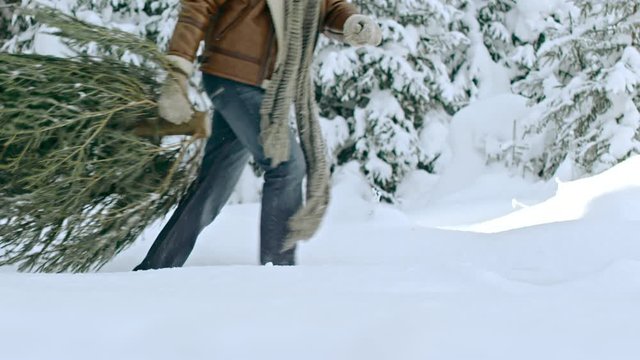 Slow motion with low-section of unrecognizable man and cute little boy carrying cut Christmas tree and running along forest footpath in deep snow as woman pulling sled following them
