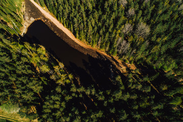 Aerial view on forest area with river, national park from birds eye 