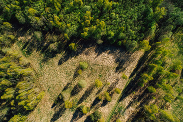 Aerial view on rural forest area with small road 
