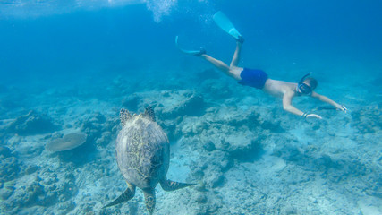 A man in a diving mask and fins diving along a turtle, next to the shore of Gili Air, Lombok Indonesia. Beautiful and crystal clear water. Peaceful coexistence of human and animal. Dream coming true.
