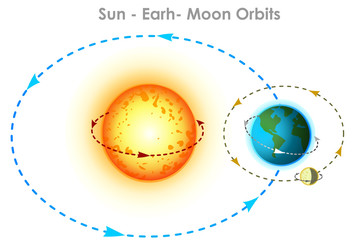 Sun earth, moon orbits. Orbit movements with directions and angles. Orbits. Physics, astronomy illustration.  Elliptical arrows showing trajectory directions. white background. Vector © LuckySoul