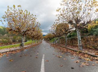 Fototapeta premium paisaje en otoño 