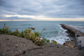 hers on foreground against a foggy background 