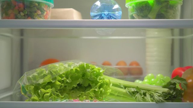 fresh food in the fridge nobody