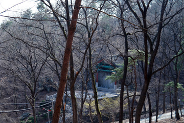 Obraz premium Mitasa Buddhist Temple of South Korea