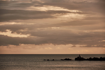 A man contemplates the Mediterranean Sea from the rocks of the Plage Baleine in S&egrave;te. France