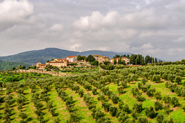Fototapeta na wymiar Artimino town on beautiful hills with olive groves in Tuscany Italy