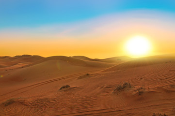 Fototapeta na wymiar desert dubai uae travel adventure safari