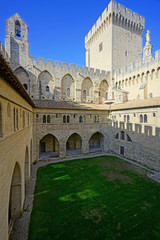 Fototapeta premium The Palais des Papes medieval castle in Avignon, France