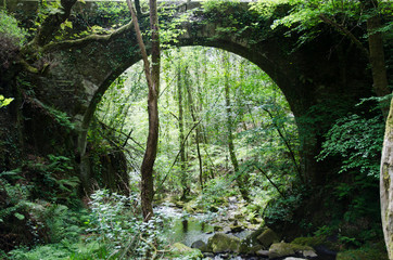 
Stone bridge in
Fragas do Eume Natural Park, Galicia, Spain