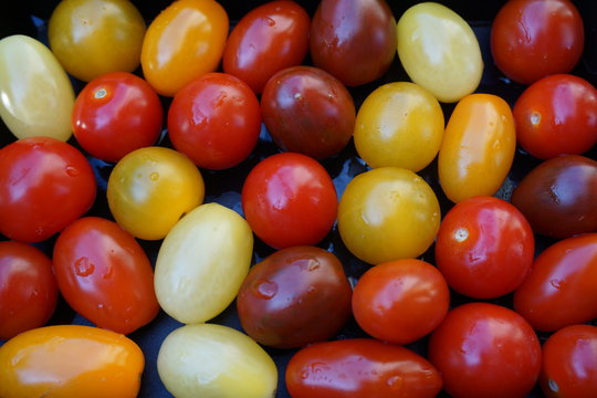 Cherry Tomatoes Different Types.