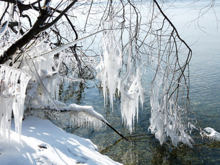 Eiszapfen hängen an einem Ast am Wasser
