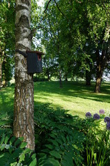 Birdhouse on tree. Palace Park in Oslo, Norway.