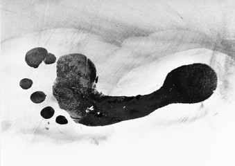 Carbon Footprint on a white background