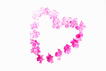 small natural pink oleander flowers in a heart pattern