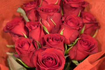 花　バラ　ダーズンローズ　flower　Darzen rose