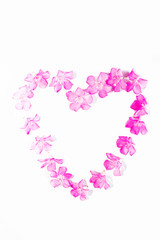 small natural pink oleander flowers in a heart pattern