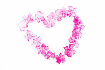 small natural pink oleander flowers in a heart pattern