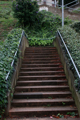 Stairs in an urban park