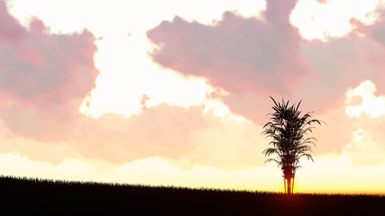 Fototapeta na wymiar Plant at Sunset Landscape Background, 3D Rendering