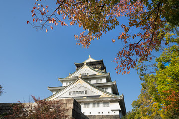 Fototapeta premium 大阪城 紅葉 Osaka Castle Autumn leaves