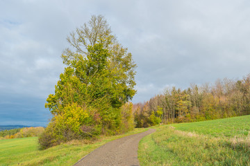 Beautiful view of the Swabian landscape in Ostalbkreis in Baden-Wuerttemberg.Swabian Alb n the south of the state.