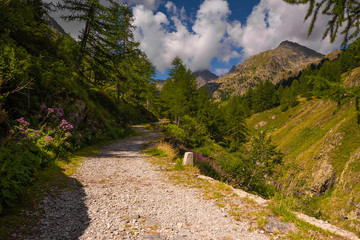 French Alps at an altitude of 2800 meters, Mountain peaks and untouched nature, clear lakes