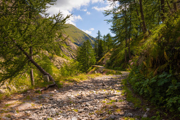 French Alps at an altitude of 2800 meters, Mountain peaks and untouched nature, clear lakes © nikolas
