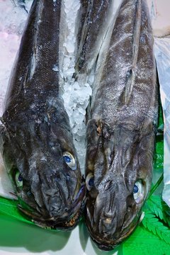Two fresh sablefishes at the fish market