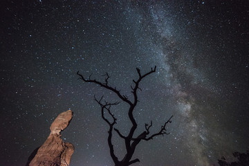 The Milky Way beyond the Balanced Rock and a naked tree