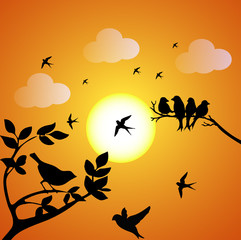 Illustration of birds at sunset silhouette. Vector.