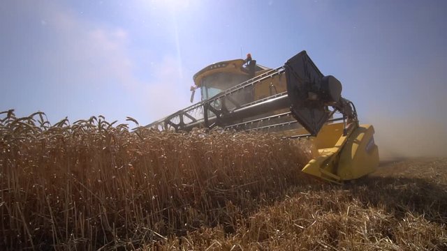 Low Angle shot of harvester move and collect grain of wheat harvest summer slow motion