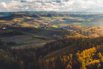 Vineyards in the province of Cuneo, Piedmont, Italy