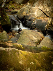 Parque Natural de Los Alcornocales (Cádiz)