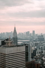 view of tokyo skyline