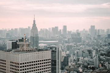 Fototapeta na wymiar Tokyo skyline from above