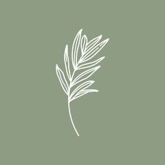 Olive Branch with leaves. Outline Botanical leaves In a Modern Minimalist Style. Vector Illustration. For printing on t-shirt, Web Design, beauty Salons, Posters, creating a logo and other