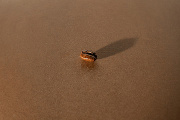 Fototapeta na wymiar coffee bean on brown paper background