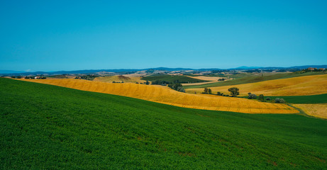 View of a sunny day in the Italian rural landscape. Unique Tuscany landscape in summer time. Wave hills, colorful fields, cypresses trees and sky.