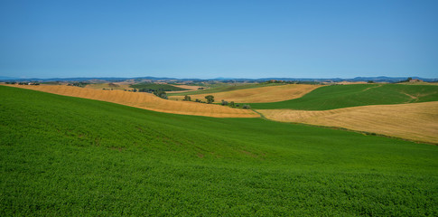 Obraz premium View of a sunny day in the Italian rural landscape. Unique Tuscany landscape in summer time. Wave hills, colorful fields, cypresses trees and sky.